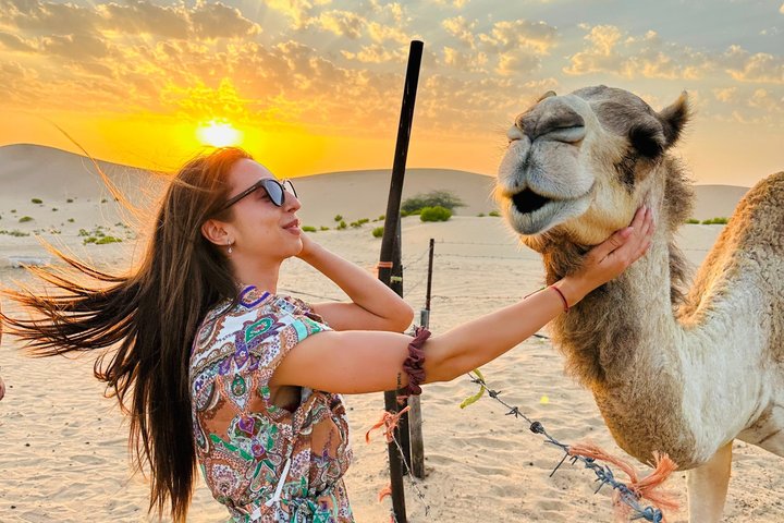 Oplev en ørkensafari i Abu Dhabi med dune bashing, kamelridt, BBQ-middag og live shows, foto 9 | wizardtrip