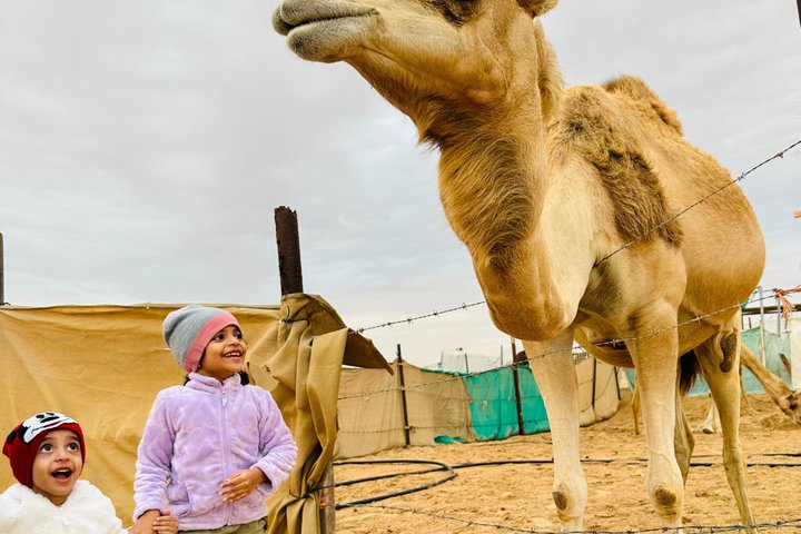 Oplev en ørkensafari i Abu Dhabi med dune bashing, kamelridt, BBQ-middag og live shows, foto 10 | wizardtrip