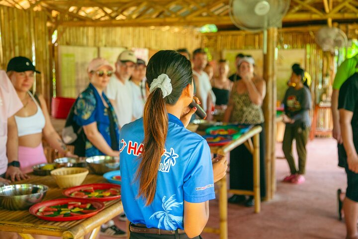 Ervaar de olifantenopvangcentra, watervallen en schilderachtige uitzichtpunten van Koh Samui tijdens een 4x4 jungletour, foto 6 | wizardtrip