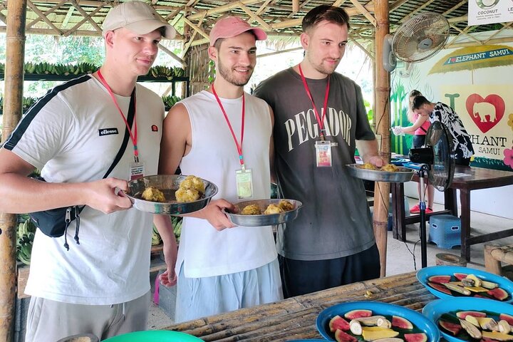 Ervaar de olifantenopvangcentra, watervallen en schilderachtige uitzichtpunten van Koh Samui tijdens een 4x4 jungletour, foto 8 | wizardtrip