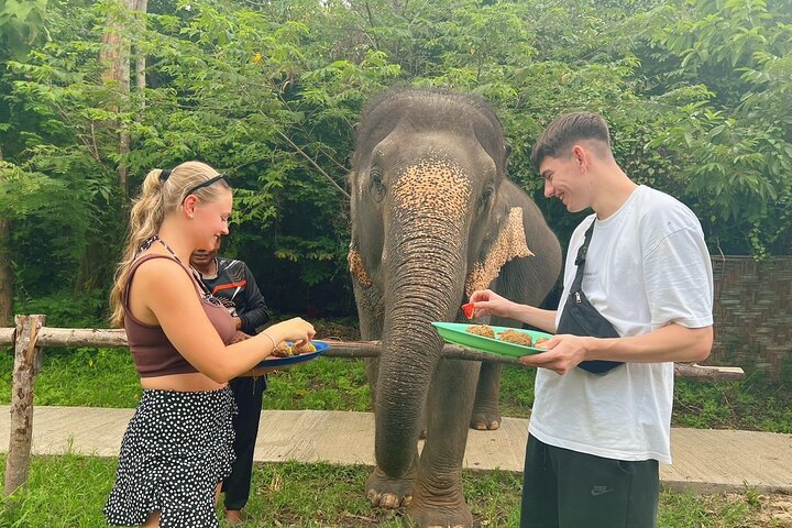Ervaar de olifantenopvangcentra, watervallen en schilderachtige uitzichtpunten van Koh Samui tijdens een 4x4 jungletour, foto 9 | wizardtrip