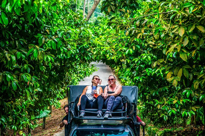 Ervaar de olifantenopvangcentra, watervallen en schilderachtige uitzichtpunten van Koh Samui tijdens een 4x4 jungletour, foto 12 | wizardtrip