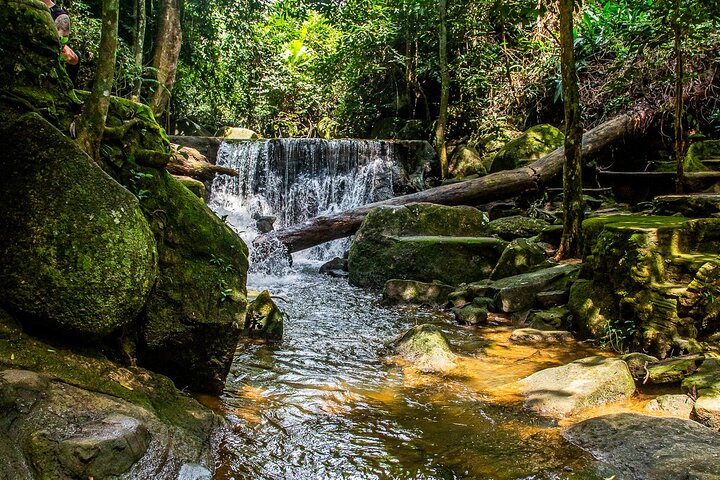 Ervaar de olifantenopvangcentra, watervallen en schilderachtige uitzichtpunten van Koh Samui tijdens een 4x4 jungletour, foto 14 | wizardtrip