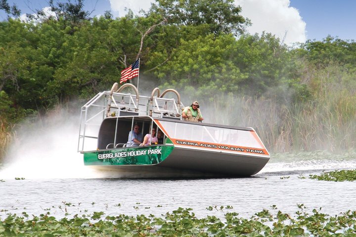 Vivez une excursion exaltante en hydroglisseur dans le vaste parc national des Everglades, à la recherche d'animaux sauvages, photo 6 | wizardtrip