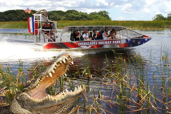 Vivez une excursion exaltante en hydroglisseur dans le vaste parc national des Everglades, à la recherche d'animaux sauvages, photo 9 | wizardtrip