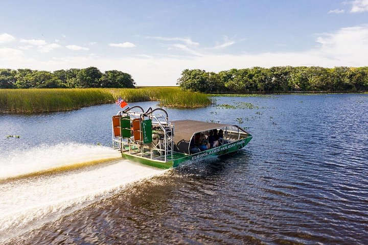 Vivez une excursion exaltante en hydroglisseur dans le vaste parc national des Everglades, à la recherche d'animaux sauvages, photo 10 | wizardtrip