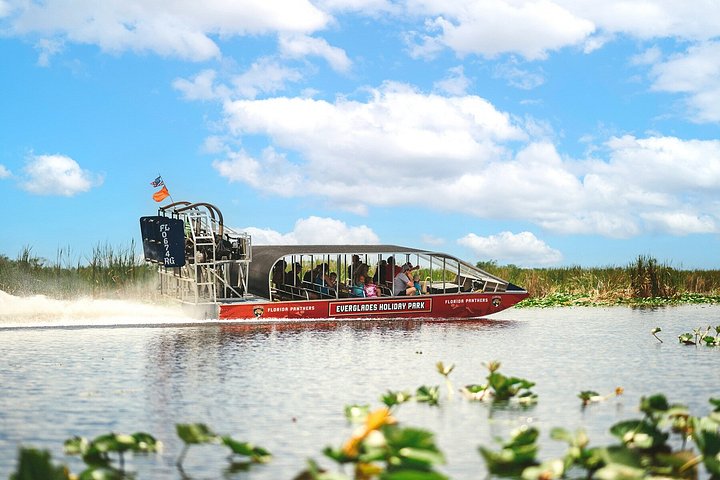 Vivez une excursion exaltante en hydroglisseur dans le vaste parc national des Everglades, à la recherche d'animaux sauvages, photo 12 | wizardtrip