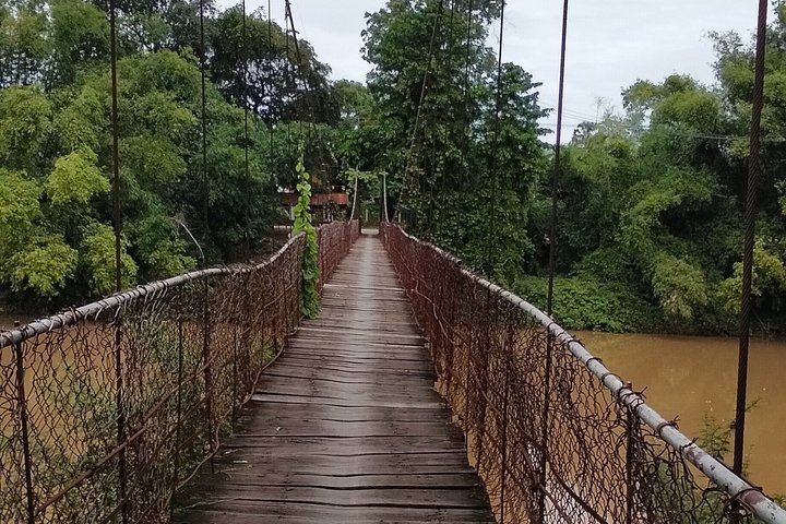 Explorez la campagne de Battambang, le train en bambou, les sites historiques et les merveilles naturelles lors d'un tour en Tuk Tuk, photo 8 | wizardtrip