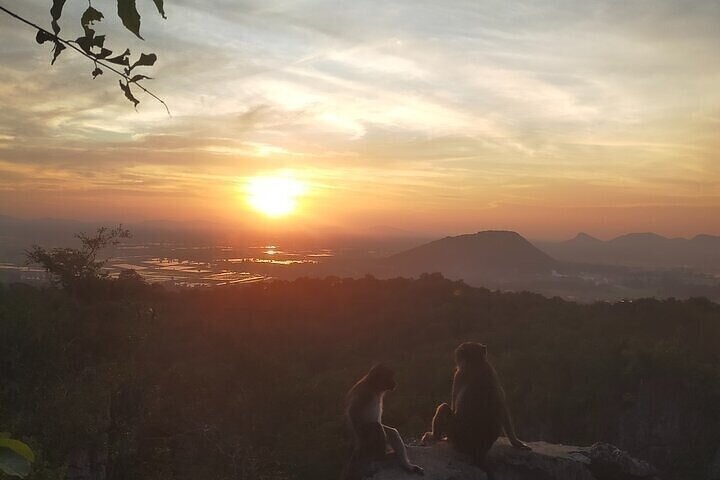 Explorez la campagne de Battambang, le train en bambou, les sites historiques et les merveilles naturelles lors d'un tour en Tuk Tuk, photo 18 | wizardtrip