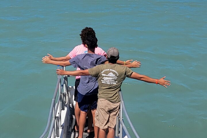 Dauphins nageant et sautant près d'un bateau à South Padre Island lors d'un éco-tour, photo 7 | wizardtrip
