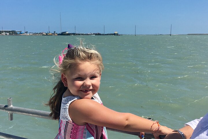 Enjoy a dolphin watching cruise in South Padre Island, spotting dolphins and scenic views, photo 6 | wizardtrip