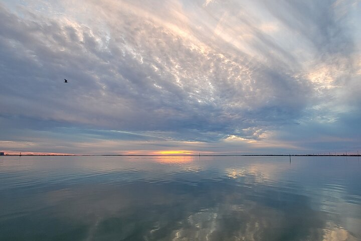 Enjoy a dolphin watching cruise in South Padre Island, spotting dolphins and scenic views, photo 11 | wizardtrip