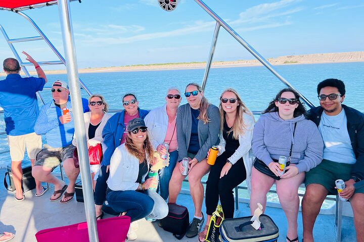 Enjoy a dolphin watching cruise in South Padre Island, spotting dolphins and scenic views, photo 12 | wizardtrip
