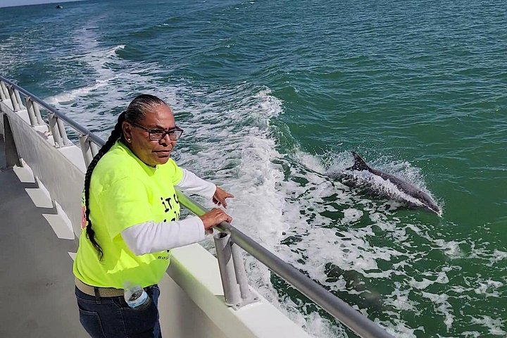 Enjoy a dolphin watching cruise in South Padre Island, spotting dolphins and scenic views, photo 14 | wizardtrip