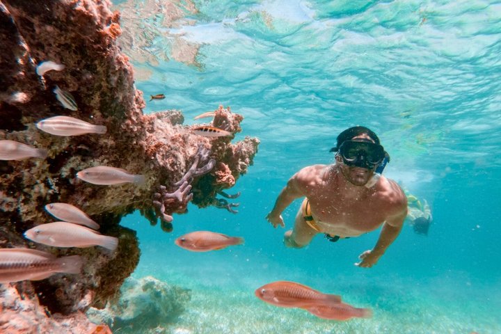 Passeio de ilhas em Cartagena com snorkel, beach clubs e almoço, foto 21 | wizardtrip