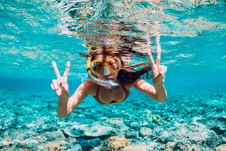 Passeio de ilhas em Cartagena com snorkel, beach clubs e almoço, foto 22 | wizardtrip