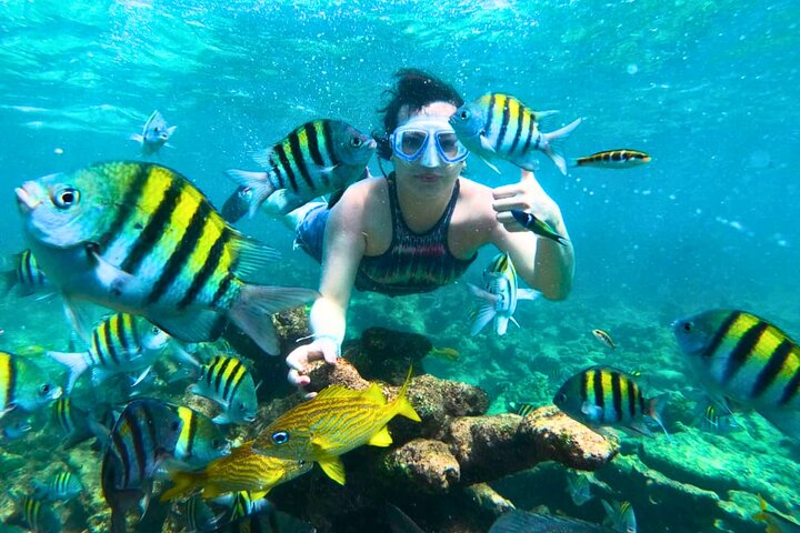 Bådtur til Rosario-øerne fra Cartagena med frokost og snorkling | wizardtrip