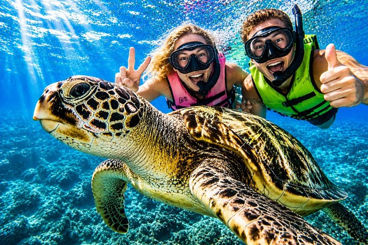 Snorkeling avec tortues à Waikiki & Aventure 6-en-1 avec prise en charge gratuite | wizardtrip