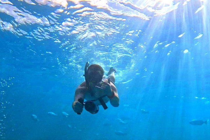 Excursion en catamaran à Waikiki, Hawaï, avec tortues et sports nautiques, photo 9 | wizardtrip