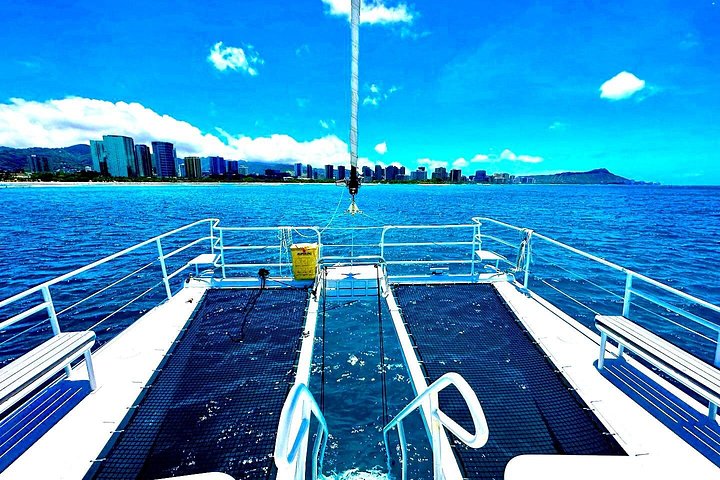 Excursion en catamaran à Waikiki, Hawaï, avec tortues et sports nautiques, photo 16 | wizardtrip