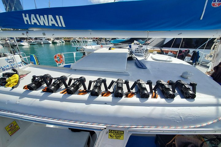 Excursion en catamaran à Waikiki, Hawaï, avec tortues et sports nautiques, photo 20 | wizardtrip