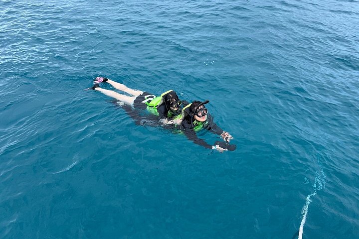 Excursion en catamaran à Waikiki, Hawaï, avec tortues et sports nautiques, photo 21 | wizardtrip