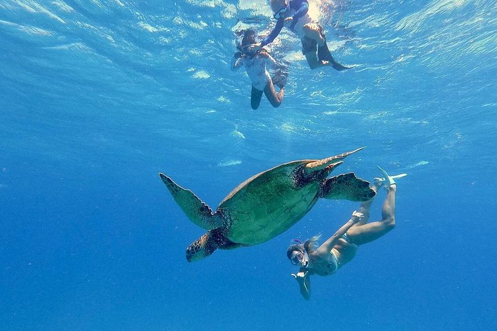 Excursion en catamaran à Waikiki, Hawaï, avec tortues et sports nautiques, photo 22 | wizardtrip