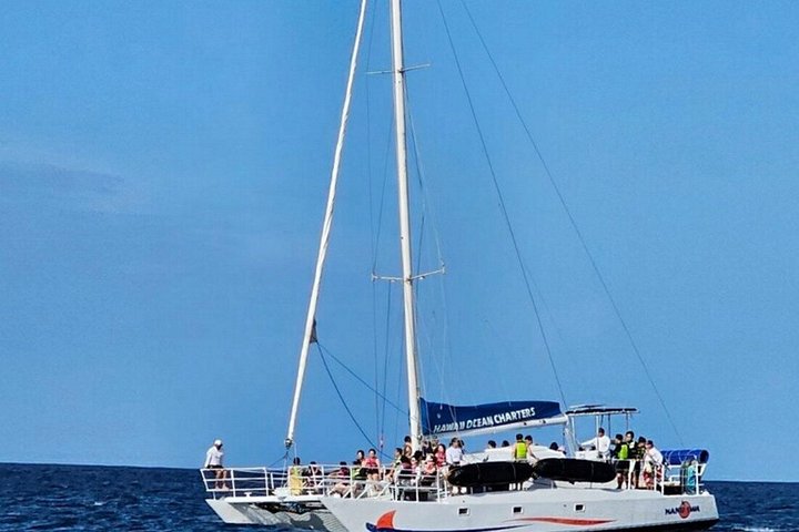Excursion en catamaran à Waikiki, Hawaï, avec tortues et sports nautiques, photo 25 | wizardtrip
