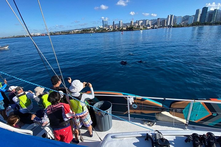Excursion en catamaran à Waikiki, Hawaï, avec tortues et sports nautiques, photo 26 | wizardtrip
