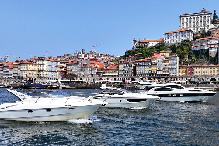Cruzeiro de iate de luxo no Rio Douro, no Porto, passando por baixo das 7 pontes, foto 10 | wizardtrip
