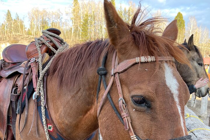 Ridäventyr med fantastisk utsikt över Grand Teton-bergen i Jackson Hole, foto 9 | wizardtrip