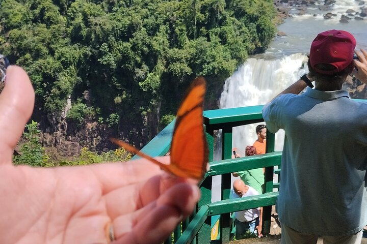 Tour privado Cataratas del Iguazú lado brasileño y argentino, Foz do Iguaçu, Brasil, foto 8 | wizardtrip