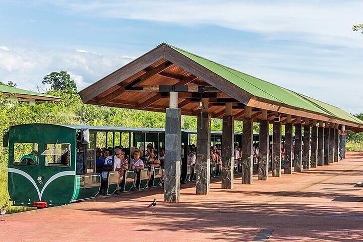 Tour privado Cataratas del Iguazú lado brasileño y argentino, Foz do Iguaçu, Brasil, foto 27 | wizardtrip