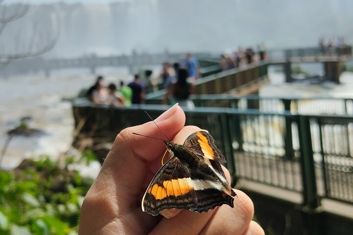Tour privado Cataratas del Iguazú lado brasileño y argentino, Foz do Iguaçu, Brasil, foto 36 | wizardtrip