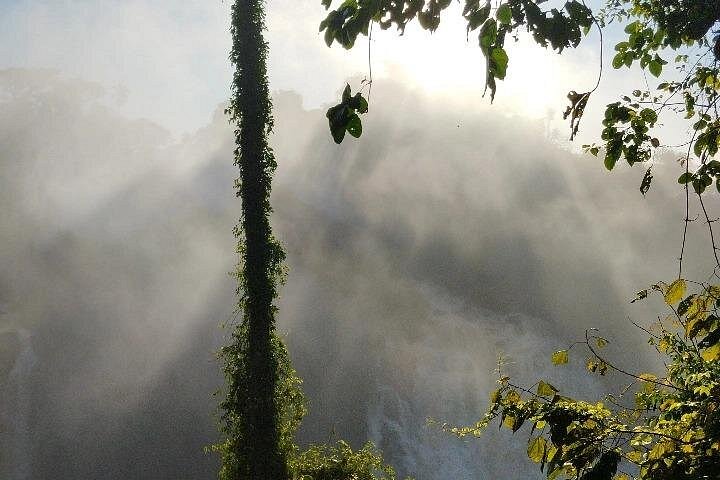 Experience the majestic Iguaçu Falls on both the Brazilian and Argentine sides with a guided small-group tour, photo 26 | wizardtrip