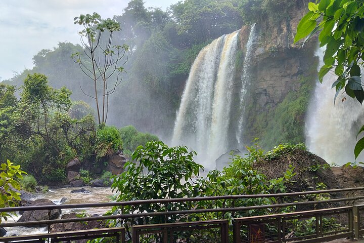 Experience the majestic Iguaçu Falls on both the Brazilian and Argentine sides with a guided small-group tour, photo 33 | wizardtrip