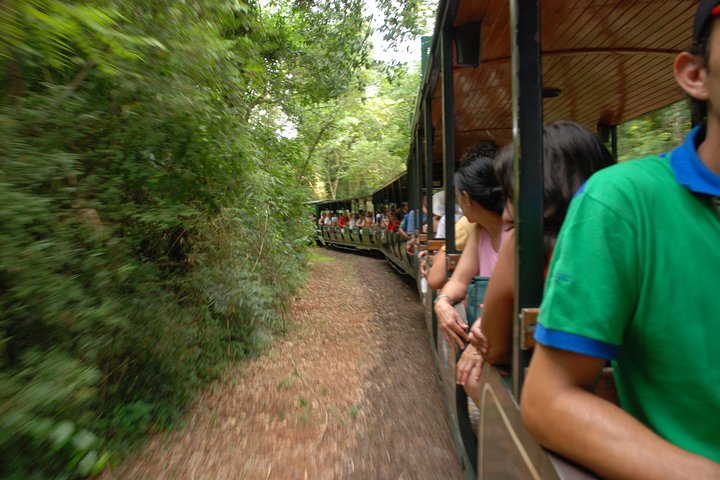 Ervaar de kracht en schoonheid van de Iguazú Watervallen met een boottocht, trein en safari truck tour in Puerto Iguazú, Argentinië, foto 8 | wizardtrip