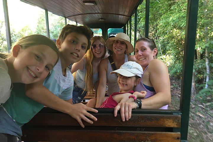 Ervaar de kracht en schoonheid van de Iguazú Watervallen met een boottocht, trein en safari truck tour in Puerto Iguazú, Argentinië, foto 9 | wizardtrip