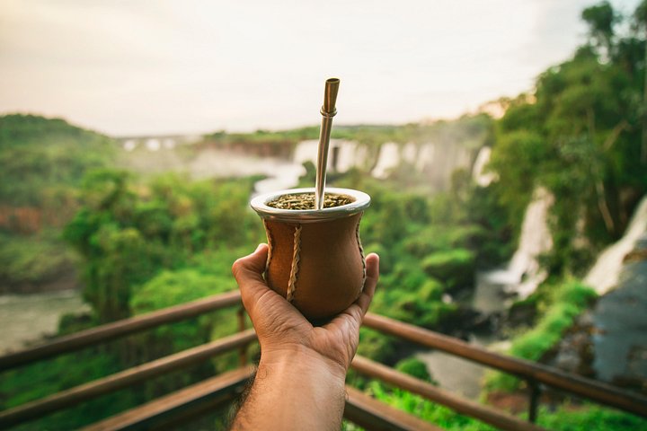 Ervaar de kracht en schoonheid van de Iguazú Watervallen met een boottocht, trein en safari truck tour in Puerto Iguazú, Argentinië, foto 14 | wizardtrip
