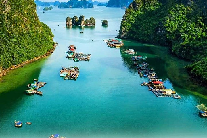 A scenic day tour of Halong Bay, Vietnam, featuring limestone karsts, emerald waters, and traditional boats, photo 29 | wizardtrip