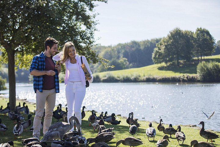 Day trip from London to Leeds Castle, Canterbury Cathedral, and the White Cliffs of Dover, photo 9 | wizardtrip
