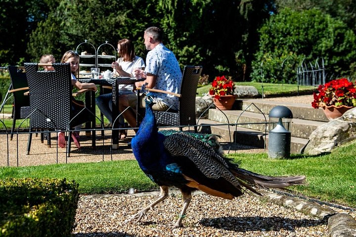 Een dagtour vanuit Londen met bezoek aan Warwick Castle, Stratford-upon-Avon, Oxford en de Cotswolds, foto 9 | wizardtrip