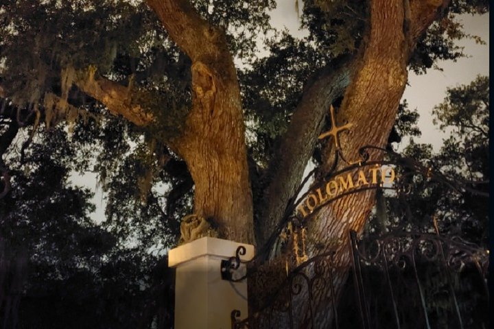 A spooky ghost tour through historic St. Augustine, Florida, featuring haunted sites and eerie tales, photo 10 | wizardtrip