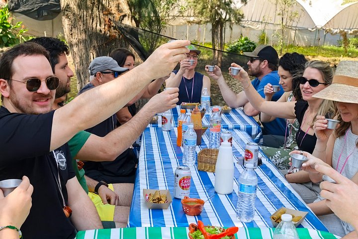 Profitez d'une excursion en bateau traditionnelle dans les anciens canaux de Xochimilco, Mexico, avec nourriture, boissons et activités culturelles, photo 38 | wizardtrip