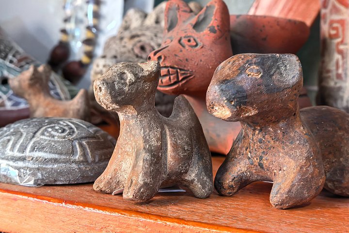 Profitez d'une excursion en bateau traditionnelle dans les anciens canaux de Xochimilco, Mexico, avec nourriture, boissons et activités culturelles, photo 43 | wizardtrip