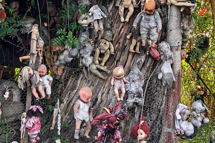 Profitez d'une excursion en bateau traditionnelle dans les anciens canaux de Xochimilco, Mexico, avec nourriture, boissons et activités culturelles, photo 44 | wizardtrip