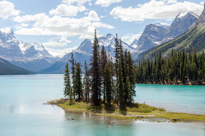 Naturskjønn tur i Jasper nasjonalparks Maligne Valley, Medicine Lake og Spirit Island, foto 7 | wizardtrip