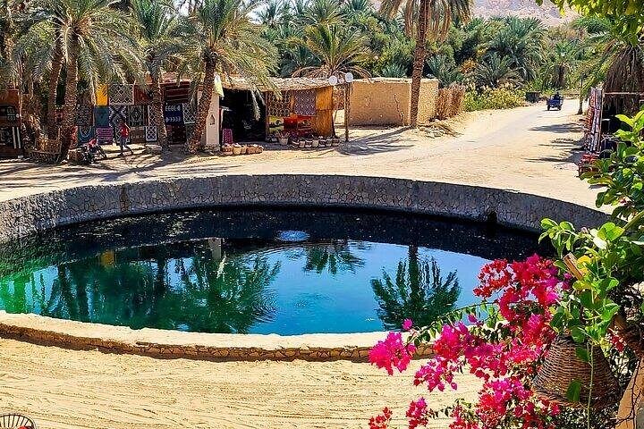 Ervaar de unieke Siwa Oasis met woestijnsafari's, oude tempels en natuurlijke bronnen tijdens een 3-daagse tour vanuit Cairo, foto 7 | wizardtrip