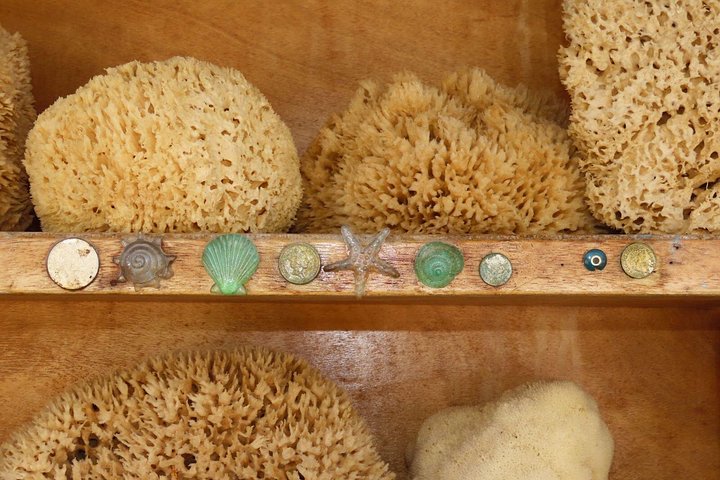 Een houten bootcruise langs Griekse eilanden, met zwemmen en dolfijnen spotten, foto 20 | wizardtrip