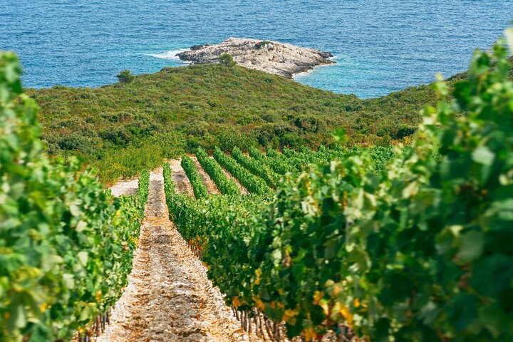 Experimente um emocionante safari buggy pelas paisagens cênicas de Korcula, desfrutando de comida e vinho locais, foto 27 | wizardtrip